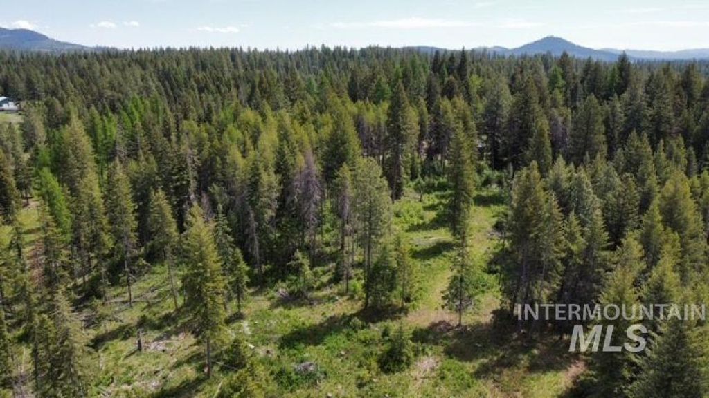 TBD Old Avon Rd., Deary, ID 83823