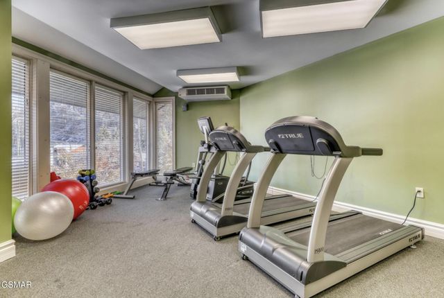 215 Woliss Lane, Gatlinburg, TN 37738