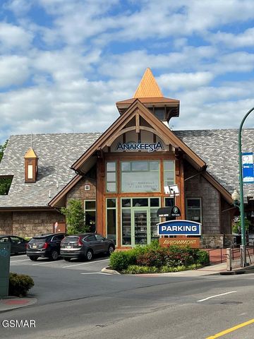 215 Woliss Lane, Gatlinburg, TN 37738