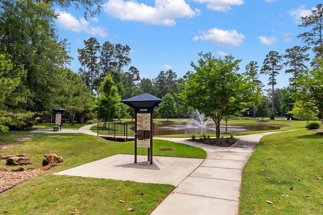 162 Elderberry Trail, Montgomery, TX 77316