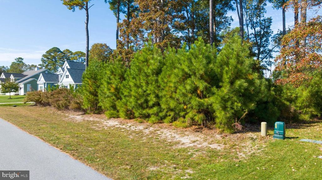 31896 SHELL LANDING WAY, Lewes, DE 19958