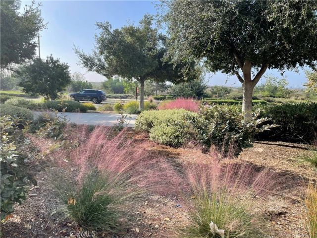 116 Scale, Irvine, CA 92618