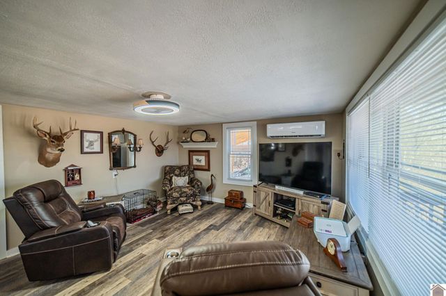 155 Hill Road, Grand Rivers, KY 42045