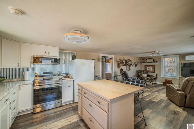 155 Hill Road, Grand Rivers, KY 42045