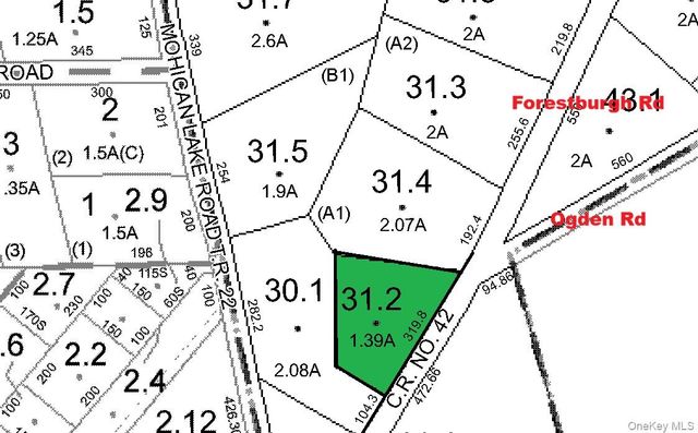 1540 Forestburgh Road, Glen Spey, NY 12737