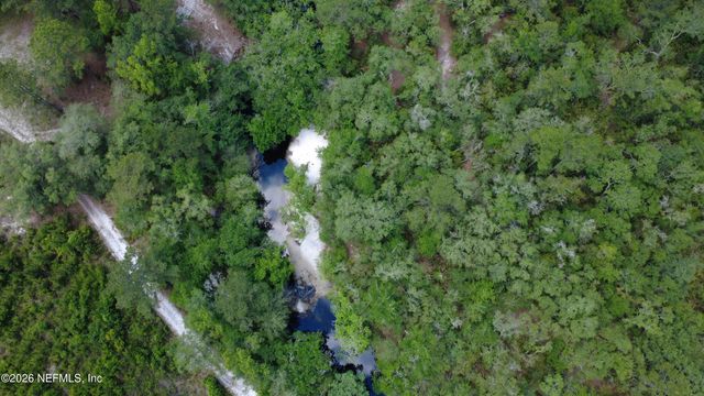 21315 S CARL BROWN Road, Sanderson, FL 32087