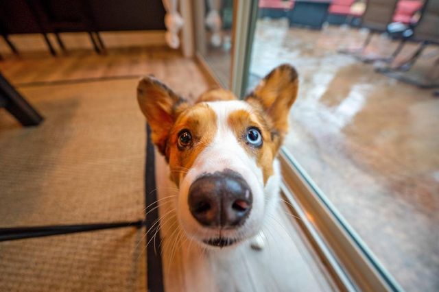 3960 Fort Jim, Placerville, CA 95667