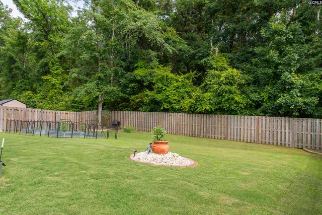 536 Lever Hill Court, Chapin, SC 29036