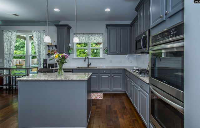 536 Lever Hill Court, Chapin, SC 29036