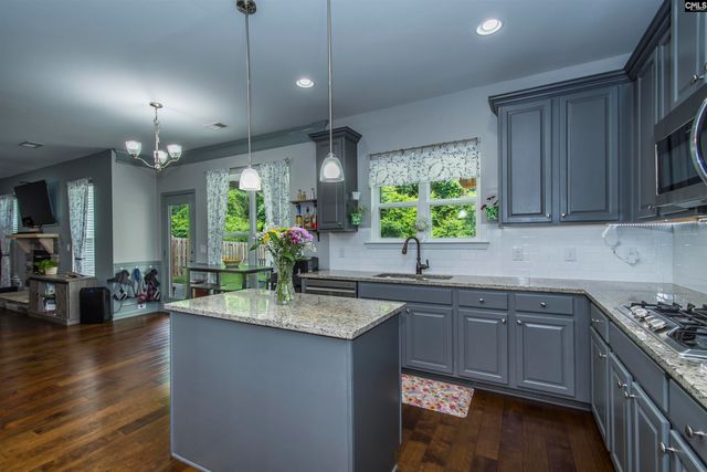 536 Lever Hill Court, Chapin, SC 29036