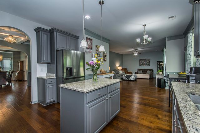 536 Lever Hill Court, Chapin, SC 29036