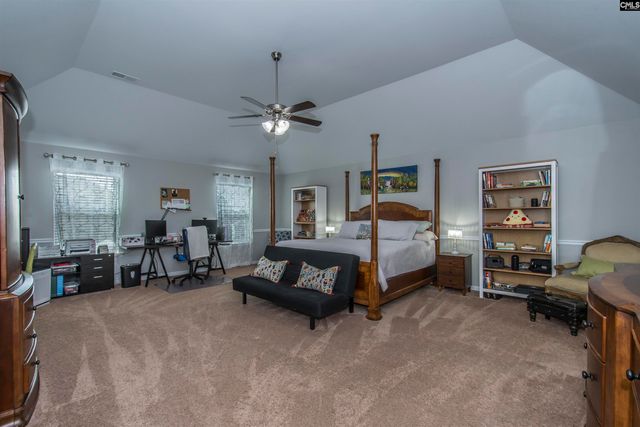 536 Lever Hill Court, Chapin, SC 29036