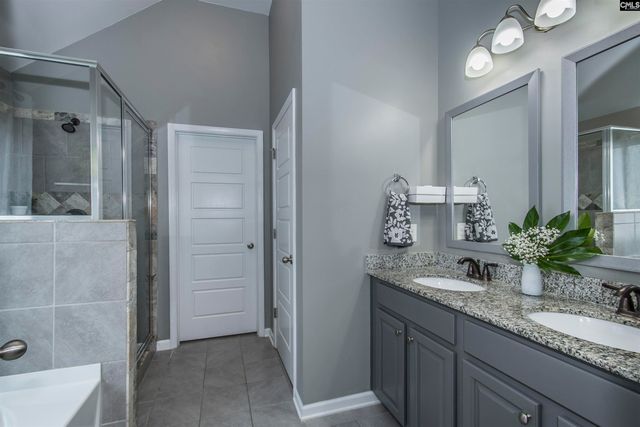 536 Lever Hill Court, Chapin, SC 29036