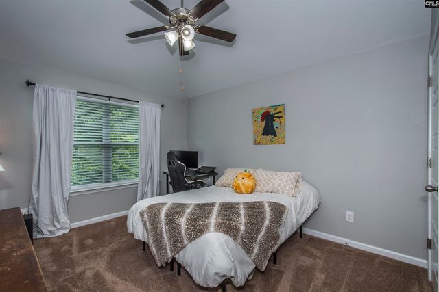 536 Lever Hill Court, Chapin, SC 29036