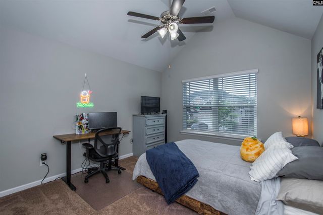 536 Lever Hill Court, Chapin, SC 29036