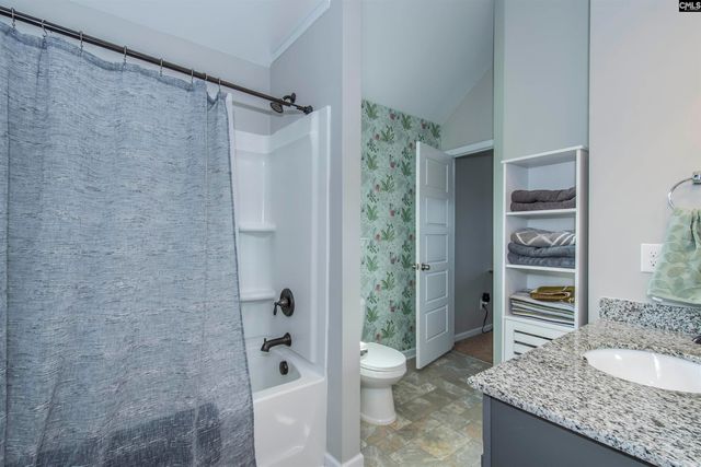 536 Lever Hill Court, Chapin, SC 29036