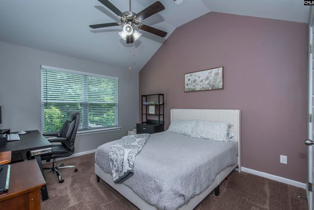 536 Lever Hill Court, Chapin, SC 29036