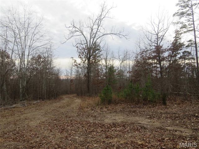 0 County Road 422, Ellington, MO 63638