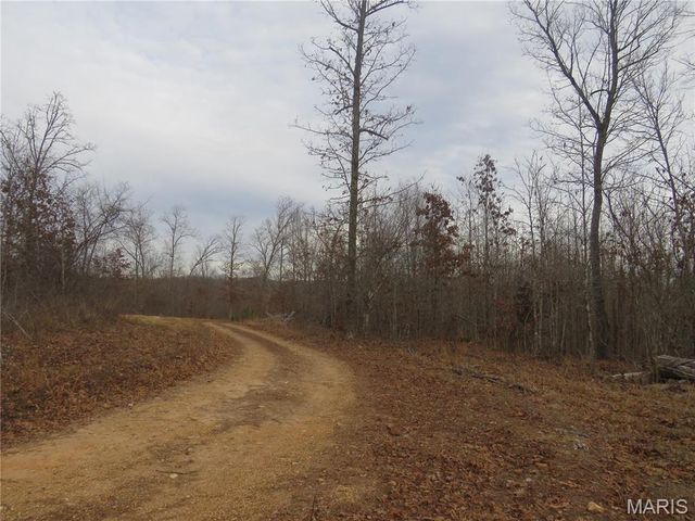 0 County Road 422, Ellington, MO 63638