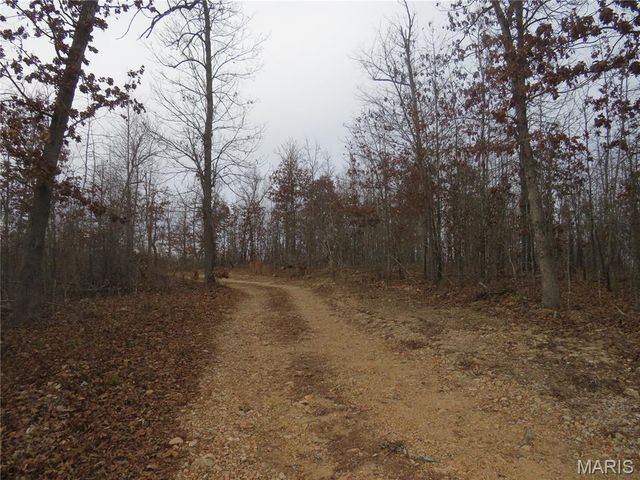 0 County Road 422, Ellington, MO 63638