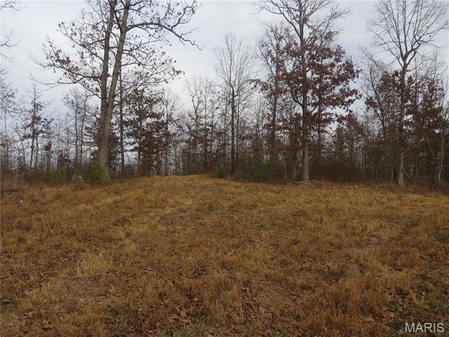 0 County Road 422, Ellington, MO 63638