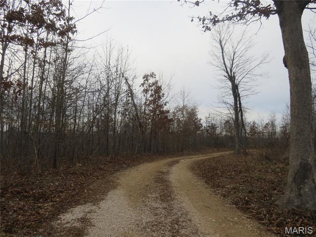 0 County Road 422, Ellington, MO 63638