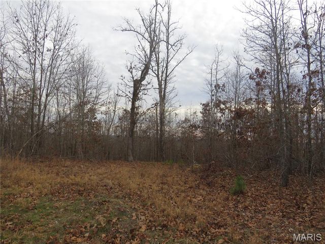 0 County Road 422, Ellington, MO 63638