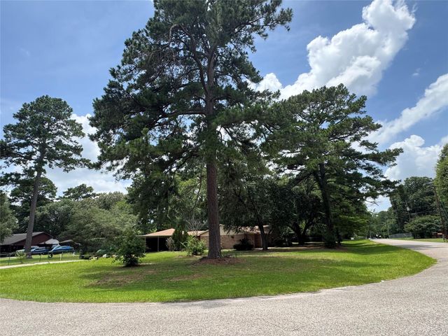 30819 Meadow Wood Drive, Magnolia, TX 77354