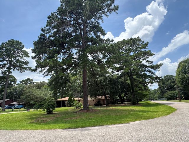 30819 Meadow Wood Drive, Magnolia, TX 77354