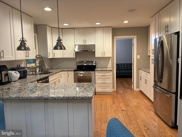 11907 FALLEN HOLLY CT, Great Falls, VA 22066