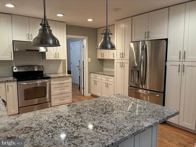 11907 FALLEN HOLLY CT, Great Falls, VA 22066