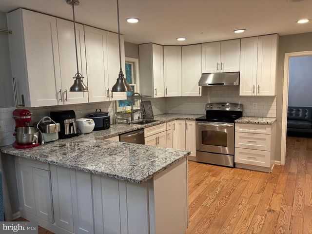 11907 FALLEN HOLLY CT, Great Falls, VA 22066