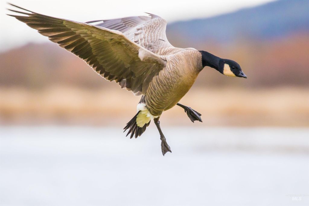 TBD Freezeout Road, Caldwell, ID 83607 photo 18