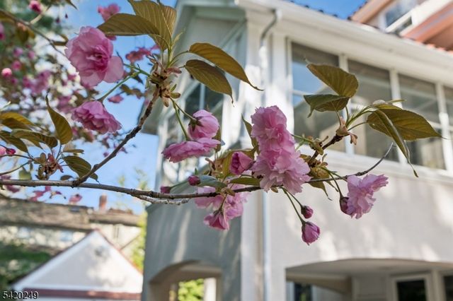 9 Quentin Ct, Maplewood Twp., NJ 07040