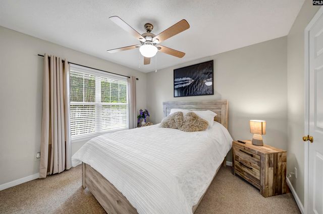 614 Beech Branch Drive, Irmo, SC 29063