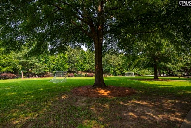614 Beech Branch Drive, Irmo, SC 29063