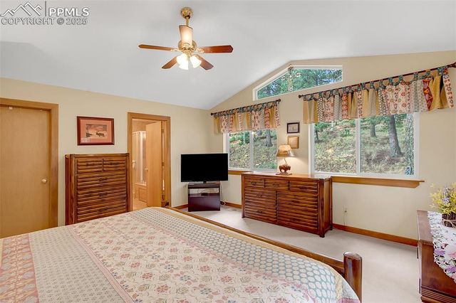 958 Cottonwood Lake Drive, Divide, CO 80814