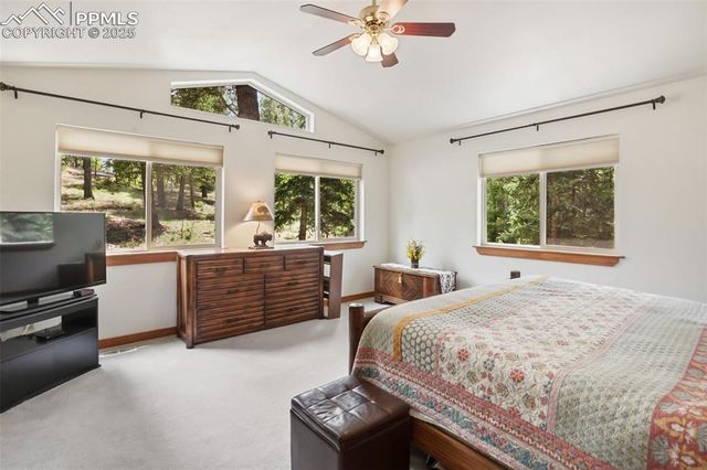 958 Cottonwood Lake Drive, Divide, CO 80814