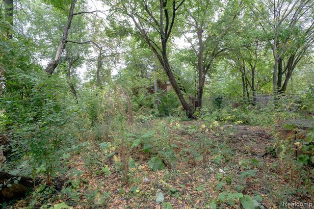 3307 Clairmount Street, Detroit, MI 48206