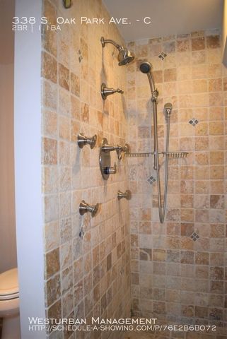338 S Oak Park Avenue C, Oak Park, IL 60302