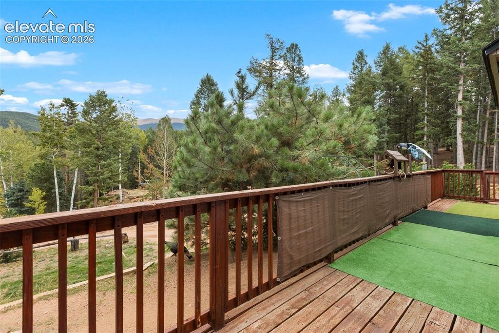 129 Kestrel Court, Divide, CO 80814 — photo 3