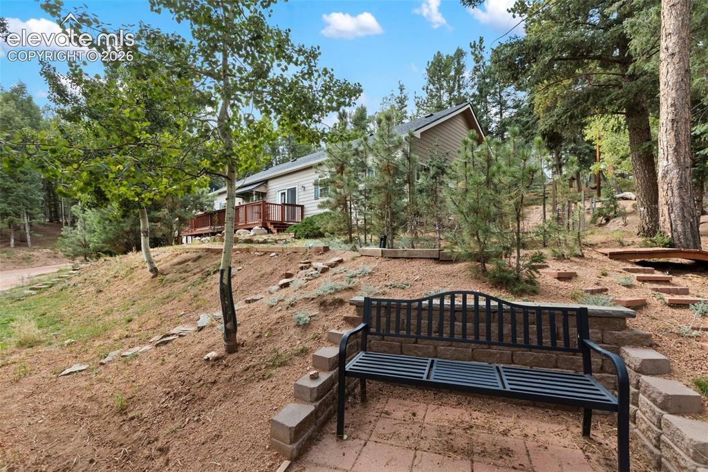 129 Kestrel Court, Divide, CO 80814 — photo 4