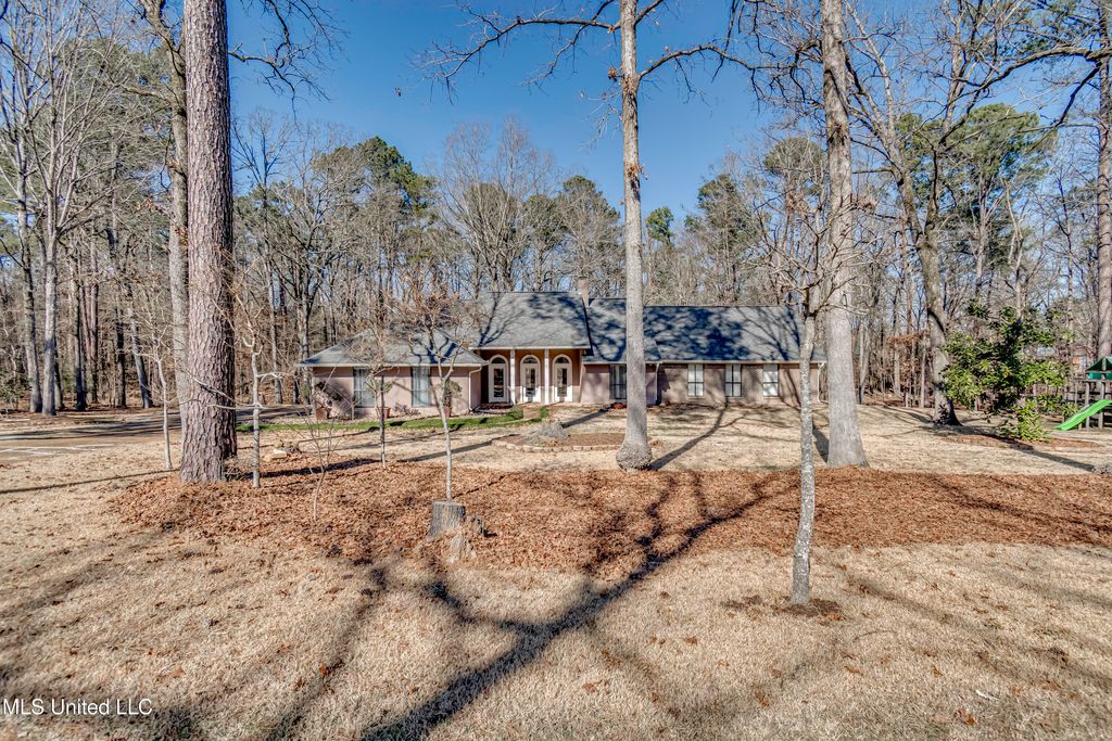 110 Meadowview Drive, Brandon, MS 39047