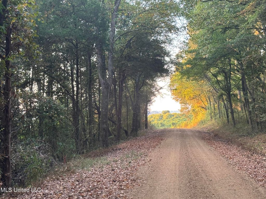 0 Cooperlow Road, Coldwater, MS 38618 — photo 3