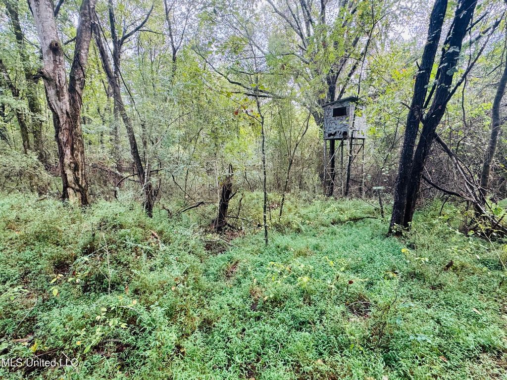 0 Cooperlow Road, Coldwater, MS 38618 — photo 4