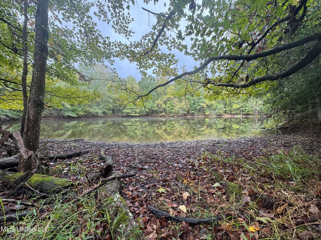 0 Cooperlow Road, Coldwater, MS 38618 — photo 5