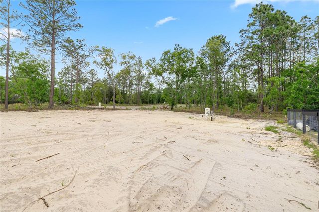 24013 NW TAMARIND LANE, Dunnellon, FL 34431