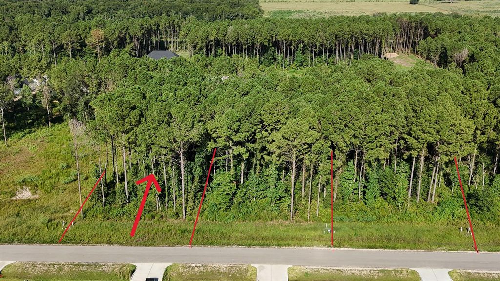 3167 Road 66125, Dayton, TX 77535