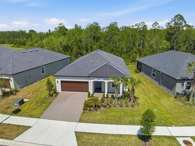 9776 MINNOW RAY DRIVE, Land O Lakes, FL 34638
