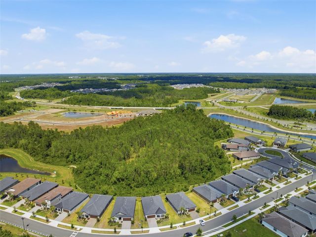 9776 MINNOW RAY DRIVE, Land O Lakes, FL 34638